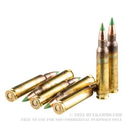 600 Rounds of 5.56x45 Ammo by Federal - 62gr FMJ