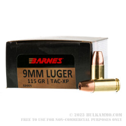 20 Rounds of 9mm Ammo by Barnes VOR-TX - 115gr XPB