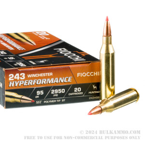 20 Rounds of .243 Win Ammo by Fiocchi - 95gr SST review