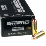 50 Rounds of .45 Long-Colt Ammo by Ammo Inc. - 250gr TMJ