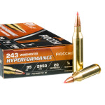 20 Rounds of .243 Win Ammo by Fiocchi - 95gr SST