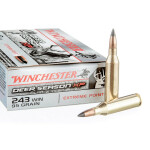 20 Rounds of .243 Win Ammo by Winchester Deer Season XP - 95gr XP