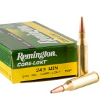 20 Rounds of .243 Win Ammo by Remington - 100gr PSP